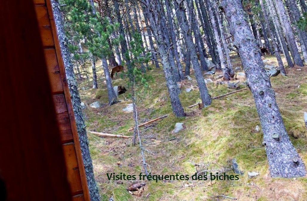 Chalet Vue Sous Cet Angles Ngoại thất bức ảnh
